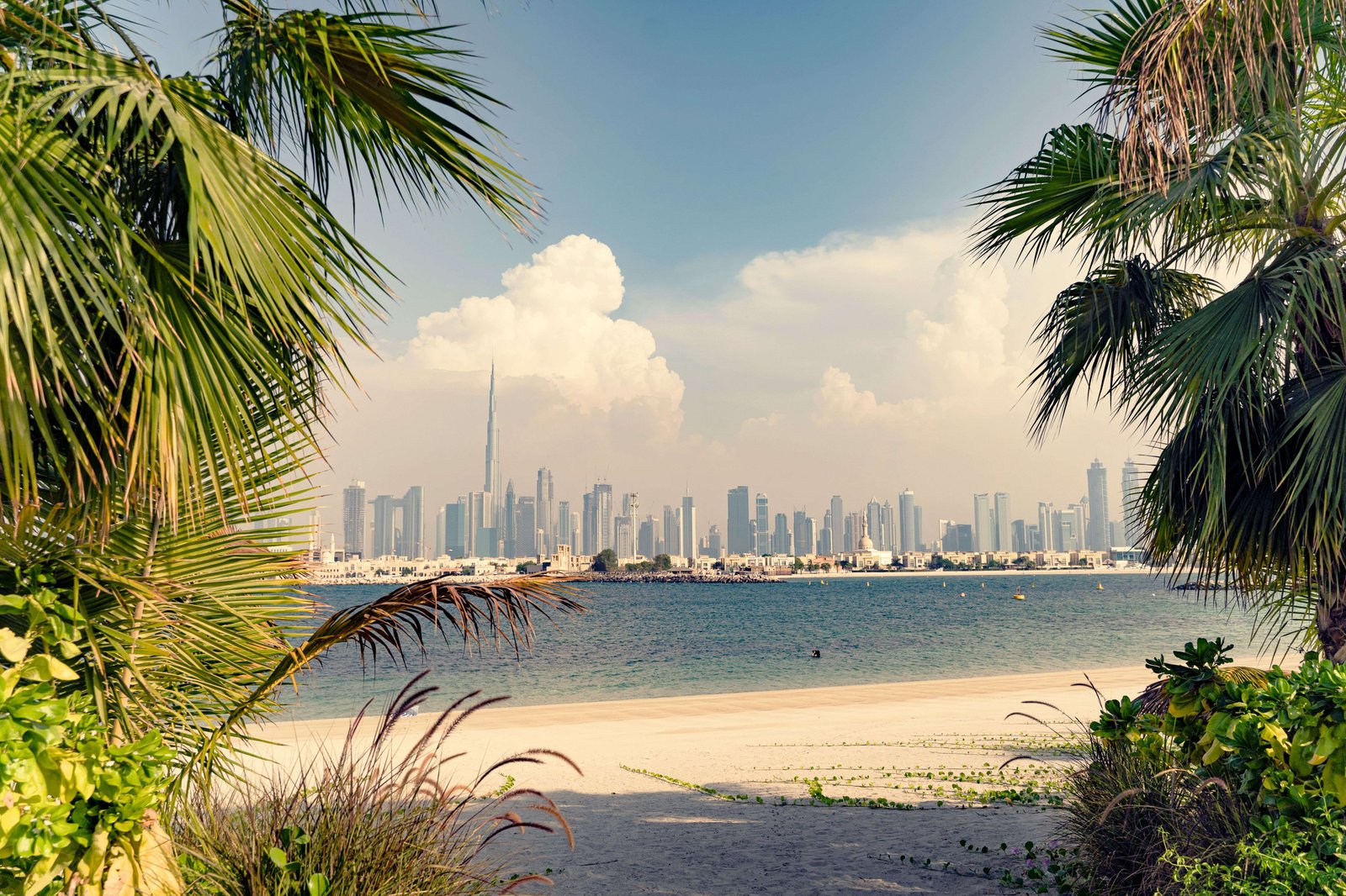 Biodiversity Protection and Protected Area Management in Dubai: Building a Sustainable Ecosystem